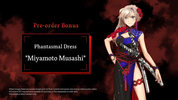Игра Fate/Samurai Remnant [Nintendo Switch, английская версия] в Пензе