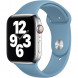 Ремешок для Apple Watch 44mm Northern Blue Sport Band (MYD32ZM/A), скандинавский синий в Пензе