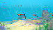 Игра Dolphin Spirit: Ocean Mission [Nintendo Switch, русские субтитры] в Пензе