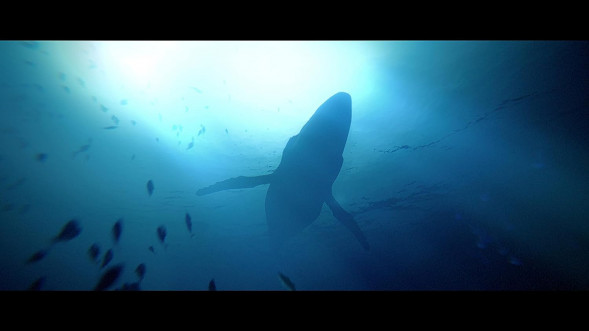 Игра Under The Waves [PS4, русские субтитры] в Пензе