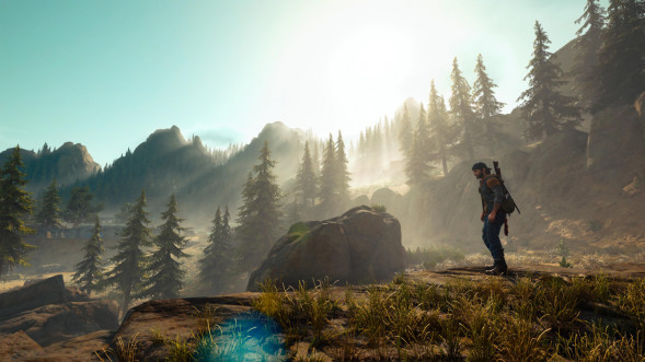 Игра Жизнь После (Days Gone) [PS4, русская версия] в Пензе